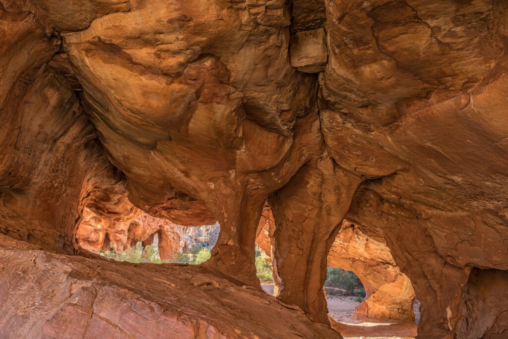 Main Stadsaal Cave in the Cederberg Mountains